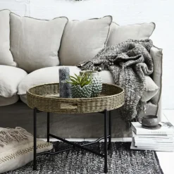 Amera kop en schotel, Grijs