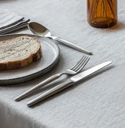 Bergen voorgerechtvork mat, Roestvrij staal