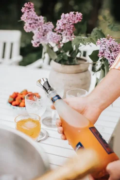 Bliss flesafsluiter, Chroom-zwart