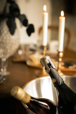 Bourdeaux wijn- en champage-afsluiter, Roestvrij staal