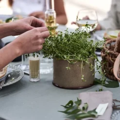 Clean tafelkleed 145 x 250 cm, dusty green