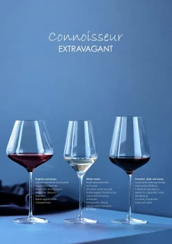 Connoisseur Extravagant wittewijnglas 40,5 cl 4-pack, Clear