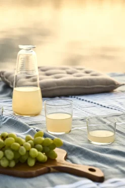 Day to Day drinkglas, 22 cl