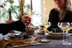 Edith servet 45x45 cm 2-pack, Beige