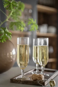 Ernst champagneglas geribbeld 2-pack, Klaar