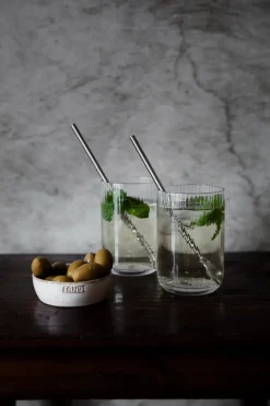 Ernst longdrink lepel 2-pack, Roestvrij staal