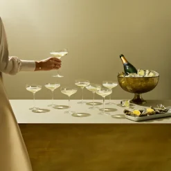 Eva Solo Coupe champagneglas, 20 cl