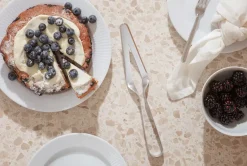 Eva Solo taartschep, Roestvrij staal