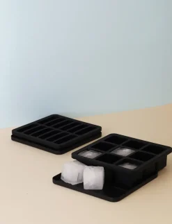 FREEZE-IT IJsblokjesvorm met deksel, 2,5x19x19 cm