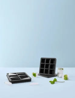 FREEZE-IT IJsblokjesvorm met deksel, 5x19x19 cm