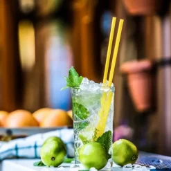 Gastroback 41127 elektrische ijscrusher, Zilverkleurig