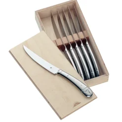 Geschenkidee steakmes 6-delig, Roestvrij staal