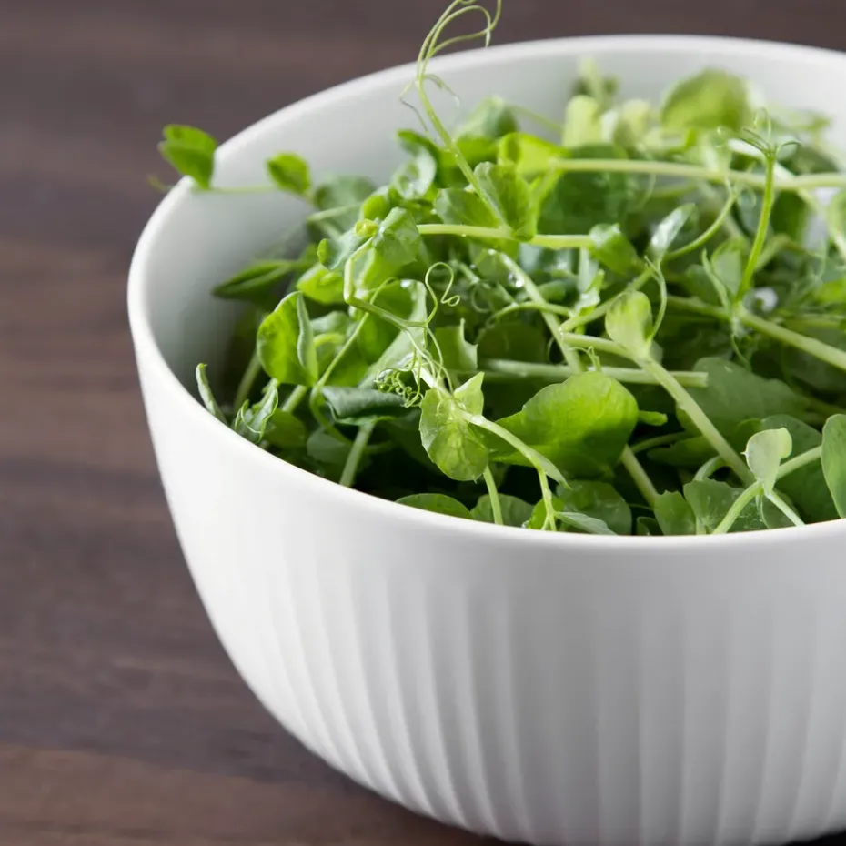 Hammershøi schaal Ø21 cm., wit