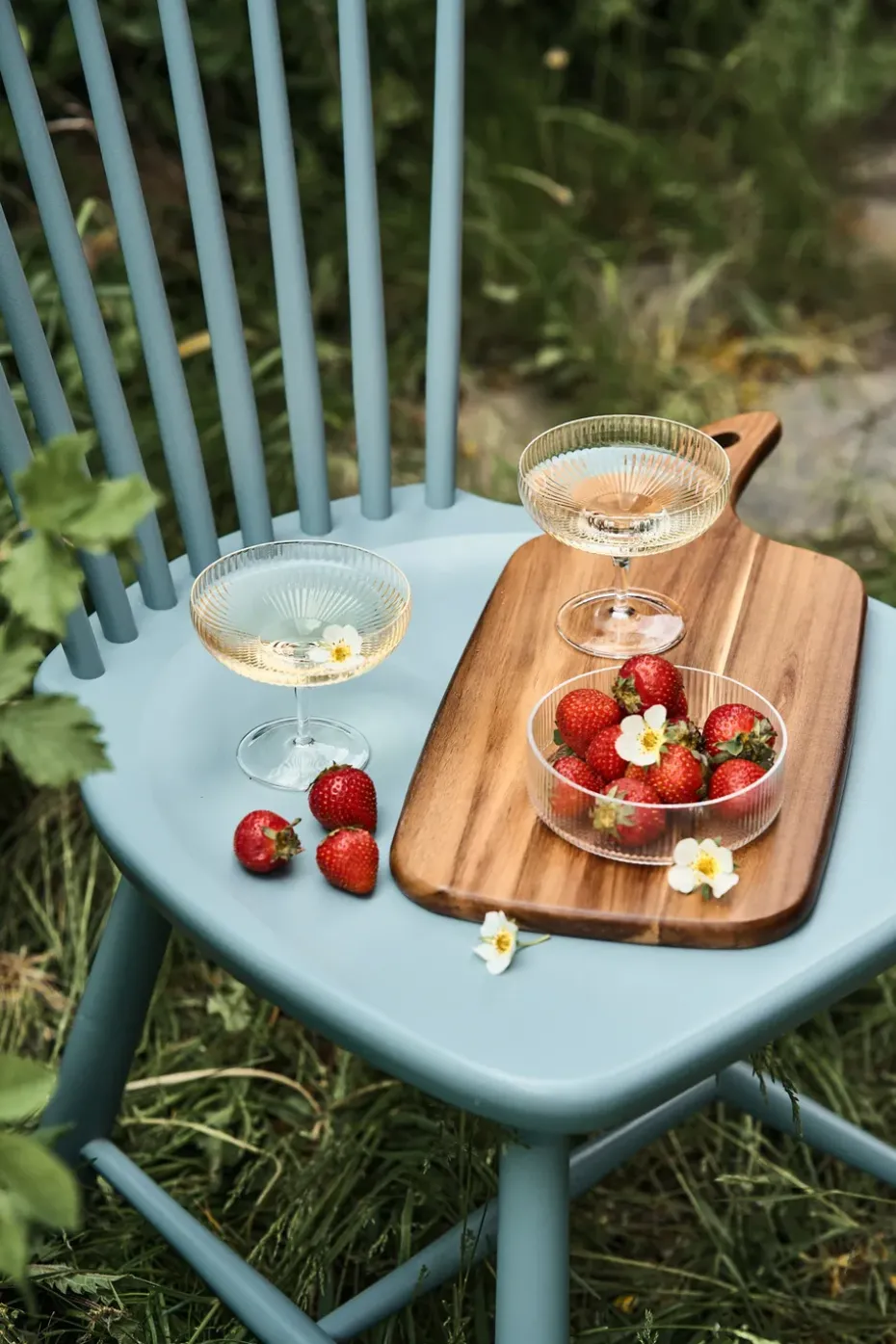 Inku champagnecoupeglas 15 cl, Clear