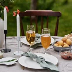 Karlevi bierglas 4 stuks, 46 cl