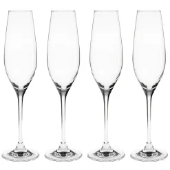 Karlevi champagneglas 4 stuks, 21 cl