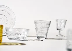 Kastehelmi glas 30 cl, 2-pack, clear (helder)