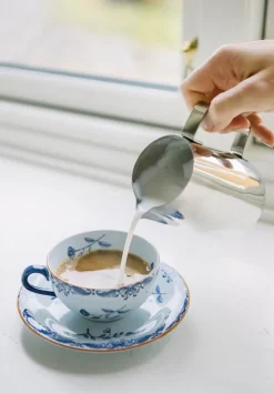 Macy melkkan 40 cl, Roestvrij staal