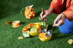 Mandarie kan 2,5 liter, Oranje