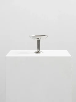 Metal champagnecoupe hoog, Roestvrij staal