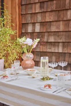 Mizu coupe champagneglas 2-pack, Clear