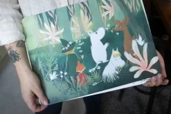 Moomin placemat 2-pack, Multi