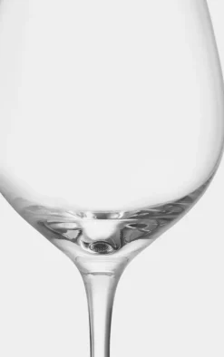 More Bistro wijnglazen 31 cl 2-pack, Helder