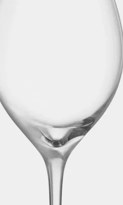 More Champagne Boule champagneglazen 31 cl 4-pack, Helder