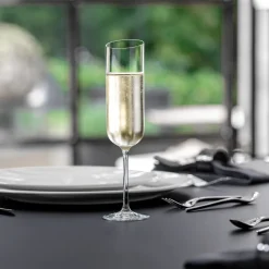 NewMoon champagneglas 4-pack, 17 cl