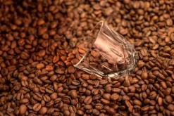 Noblesse Barista Espressoglas 9 cl 2-pack, Clear