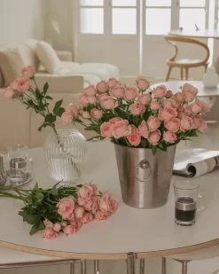 Nordwik champagne-emmer, Roestvrij staal