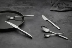 Norm dinervork, Mat roestvrij staal