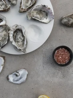 Oyster bord Ø27 cm, Wit