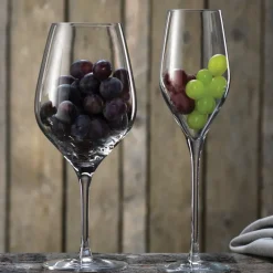 Passion connoisseur champagneglas 26,5 cl, 2-pack