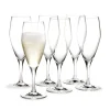 Perfection champagneglas 23 cl 6-pack, Transparant