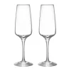 Pulse champagneglas 28 cl 2-pack, Transparant