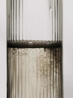 Ripple Champagne flutes champagneglazen 15 cl 2-pack, Clear