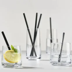 Rocks lowball glas 2-pack, 22 cl