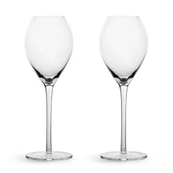 Saga champagneglas 2-pack, Transparant