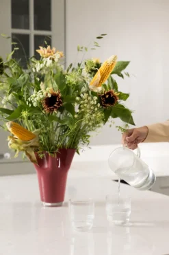 Sagaform blanke waterglazen 4-pack, Helder