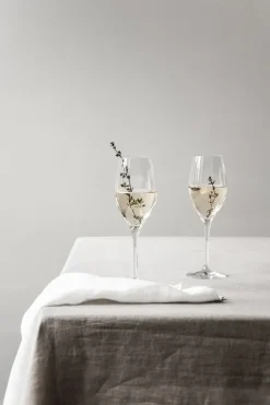 Sense champagneglas 25,5 cl 6-pack, Transparant