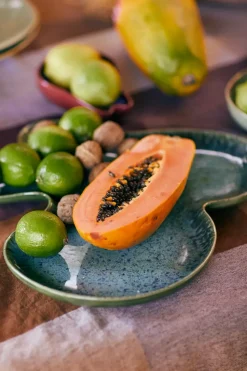 Shell serveerschaal, Teal