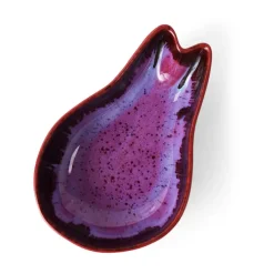 Shell tapasschaal, Dragonfruit