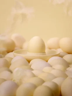 Singles eierdoppen 4-pack met houder, Limestone