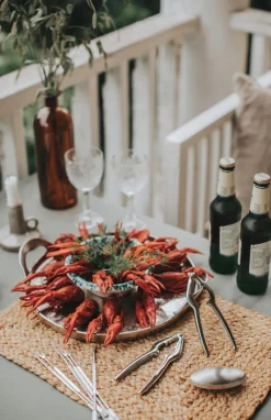 Skagen schaaldierenset 9-delig, Roestvrij staal