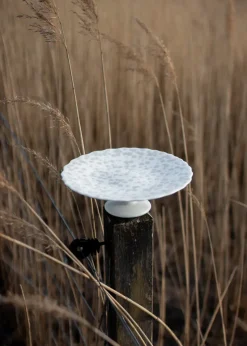 Slåpeblom taartschotel Ø21 cm, Grijs