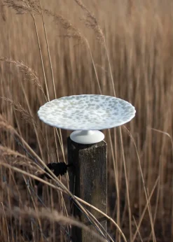 Slåpeblom taartschotel Ø21 cm, Groen