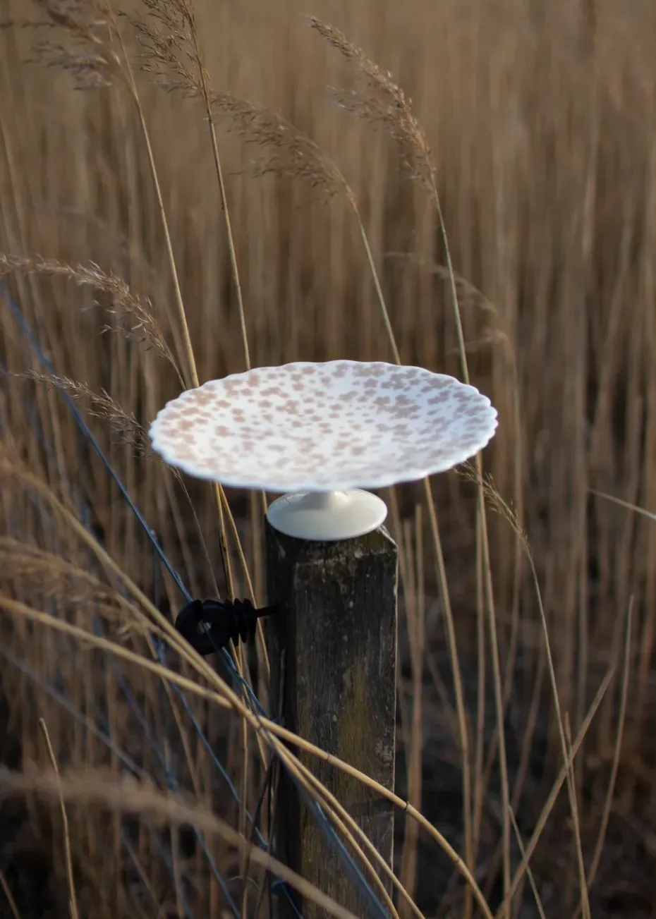 Slåpeblom taartschotel Ø21 cm, Roze