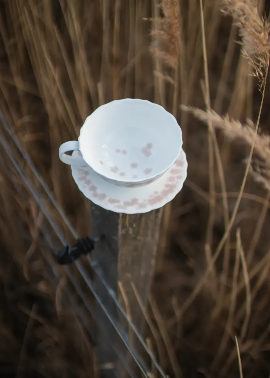 Slåpeblom theekop en schotel 30 cl, Roze