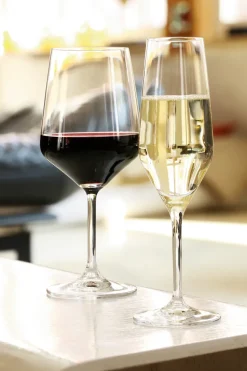 Style champagneglas 4-pack, 24 cl